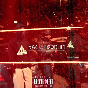 BACK HOOD #1