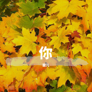 我只在乎你（日语版）