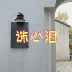 诛心泪 (哈哈版)