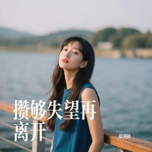 攒够失望再离开