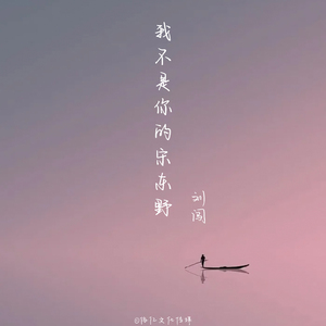 我不是你的宋东野