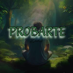 Probarte