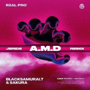 JERIDE,D-Steal-A.M.D(黑武士,SAKURA Bootleg）