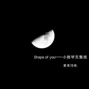 Shape of you(小提琴完整版)
