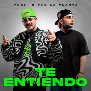 TE ENTIENDO