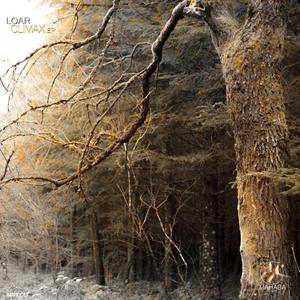 Apatheia (Original mix)