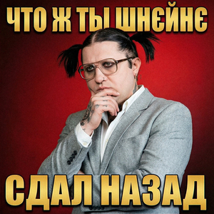 Что ж ты шнейне сдал назад