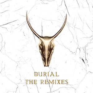 Burial (Skrillex & Trollphace Remix)