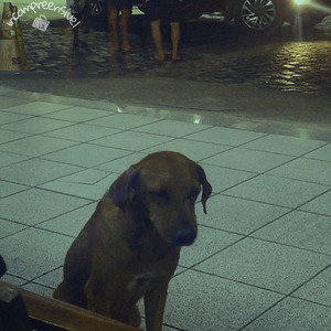 A solidão que consome