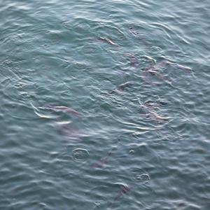 הזמן עובר לאט