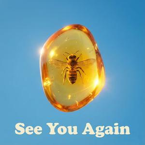 See You Again