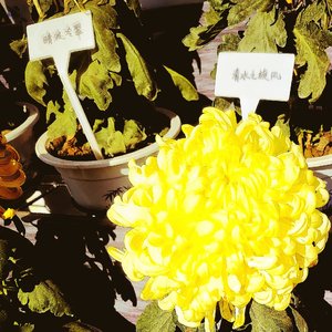 Ordinary yet clear-eyed