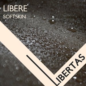Softskin (Radio Edit)