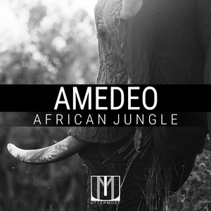 African Jungle (Original Mix)