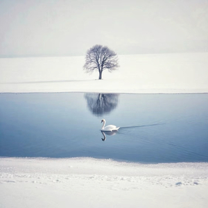 认清你对我的感情算成长