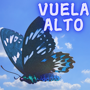 Vuela Alta