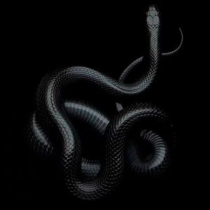 Lordly (Reverb&Sped Up)