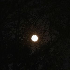 月亮不说话（Prod.Gr33nartBeats）