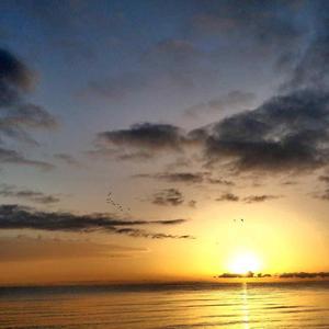 学会理解这个无情的世界