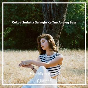 Cukup Sudah x Sa Ingin Ko Tau Analog Bass