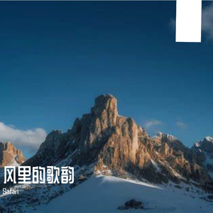雾里青苍