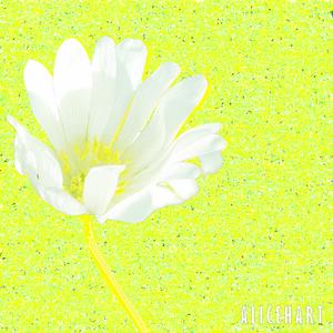 얼어 붙은 눈물