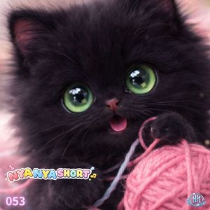 NYA NYA SHORT053