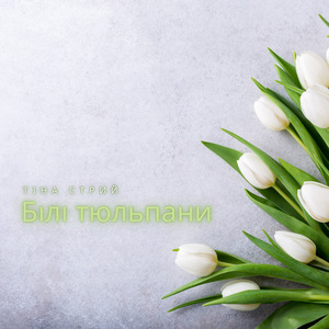 Білі тюльпани