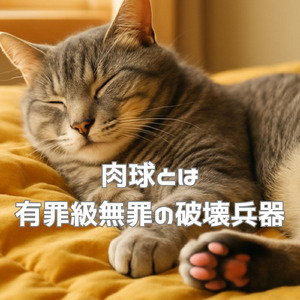 肉球とは有罪級無罪の破壊兵器