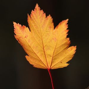 周杰伦style“思念”&emo、情绪 pop beat