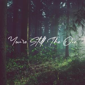 You're Still The One (Acoustic Instrumental)
