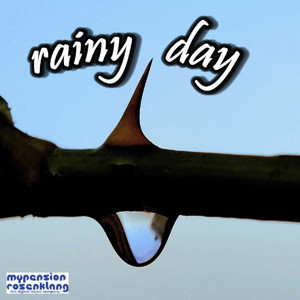 Shattered And Torn A