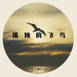 孤独的飞鸟