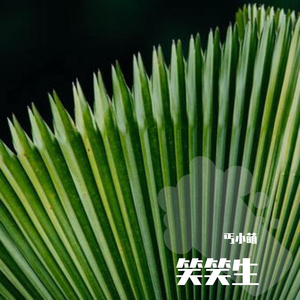 笑笑生（小少年儿）