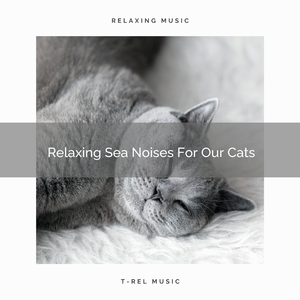 Stress Relieving Wind Songs Especially For Our Cats