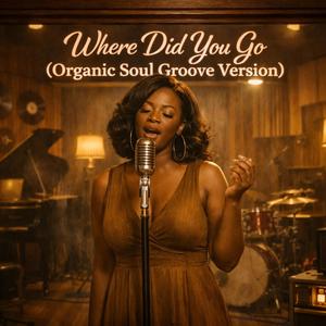 Where Did You Go (Organic Soul Groove Version)