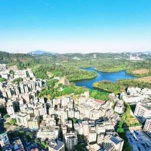 我想一个人去鹤岗看海