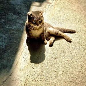 我听见世界遗落的声音