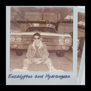 Eucalyptus & Hydrangeas (feat. Giana Russo)
