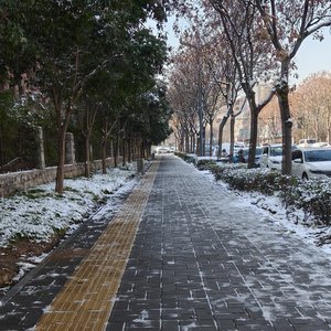 最痛的是我的心甘情愿 她是你的心甘情愿