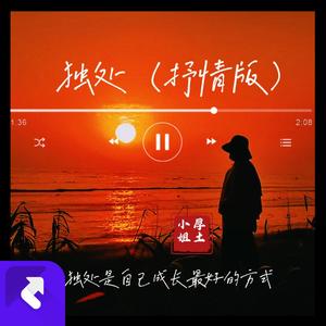 独处（抒情纯音乐）