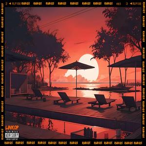 LinkOp (feat. RoeMelloe, TX & DJ Reflector)