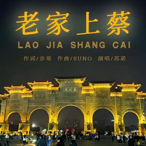 老家上蔡