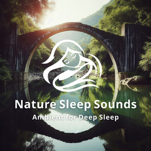 眠りの浅い貴方のための快眠音楽 1分で眠れるヒーリングギター (自律神経を整える睡眠用 森 鳥)