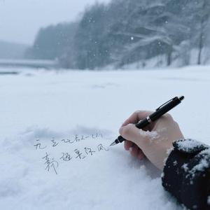 爱是雪地写诗 (Remix)