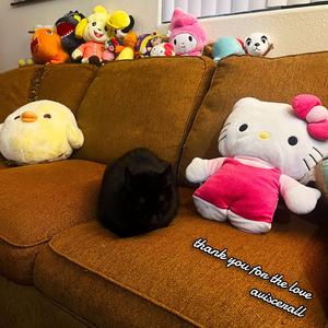 thank you for the love