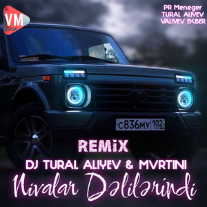 Nivalar Dəlilərindi (Remix)