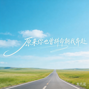 原来你也曾拼命朝我奔赴