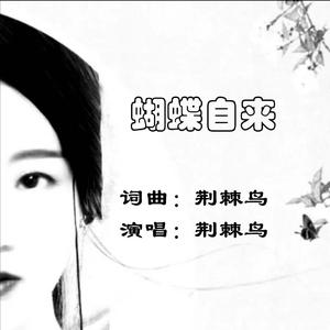 蝴蝶自来WAV