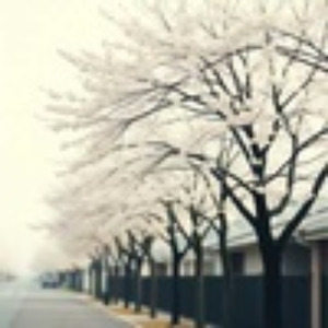 春一番のあとで